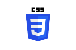 CSS Logo