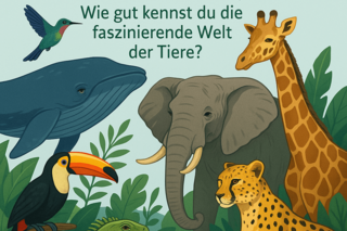 Tierwelt-Quiz Logo