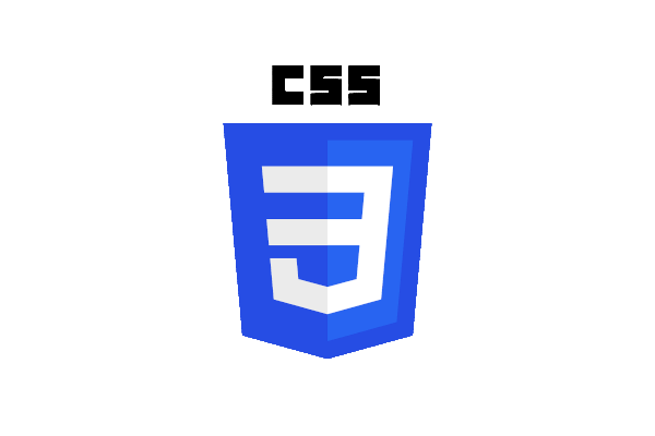CSS Logo